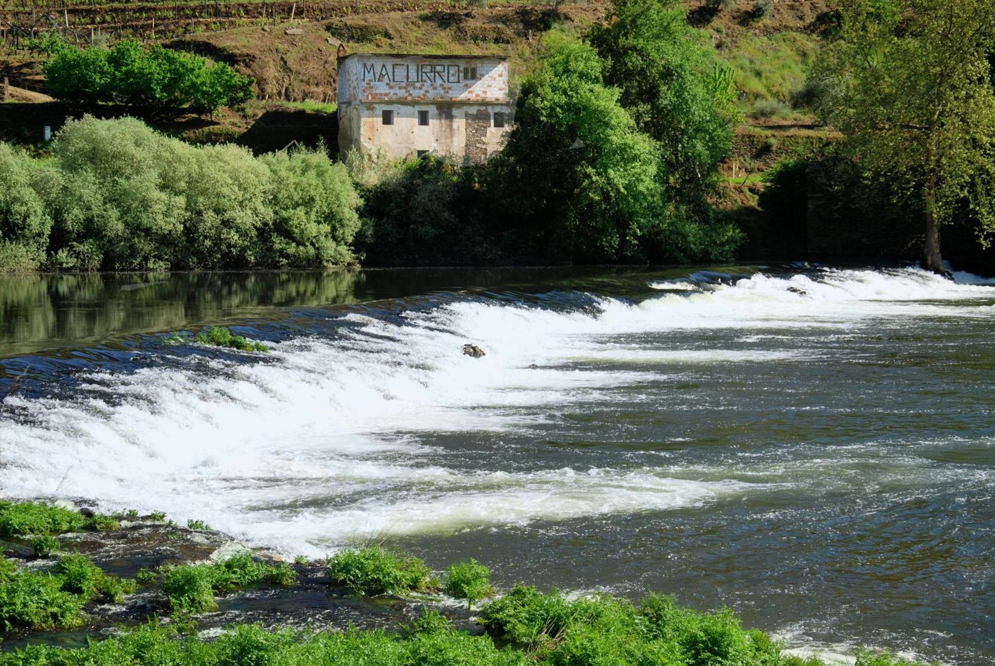 فيلا Casa Oliveiras Do Douro Sobreira المظهر الخارجي الصورة