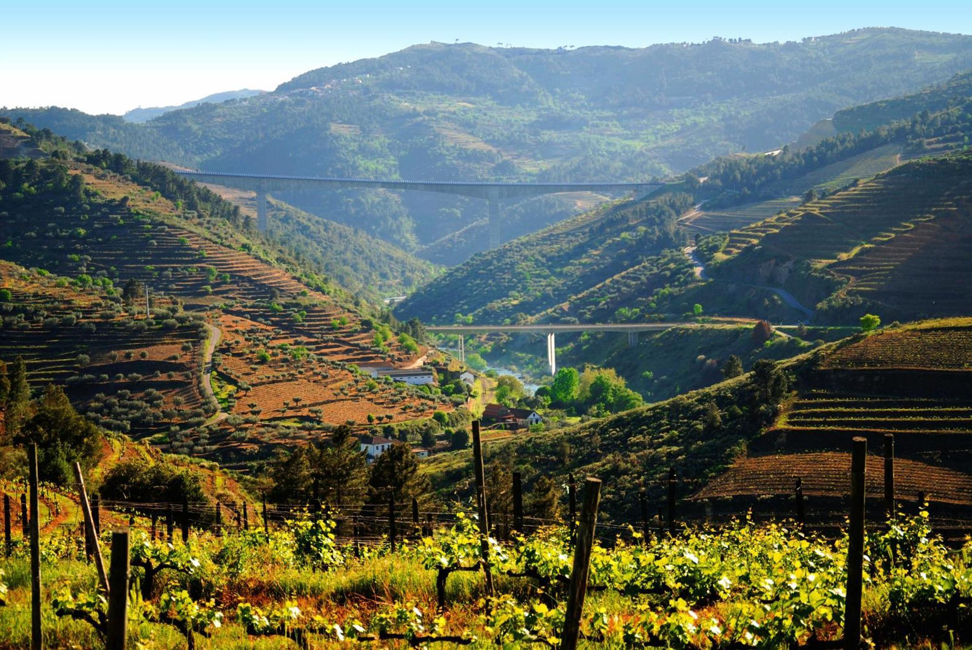 فيلا Casa Oliveiras Do Douro Sobreira المظهر الخارجي الصورة