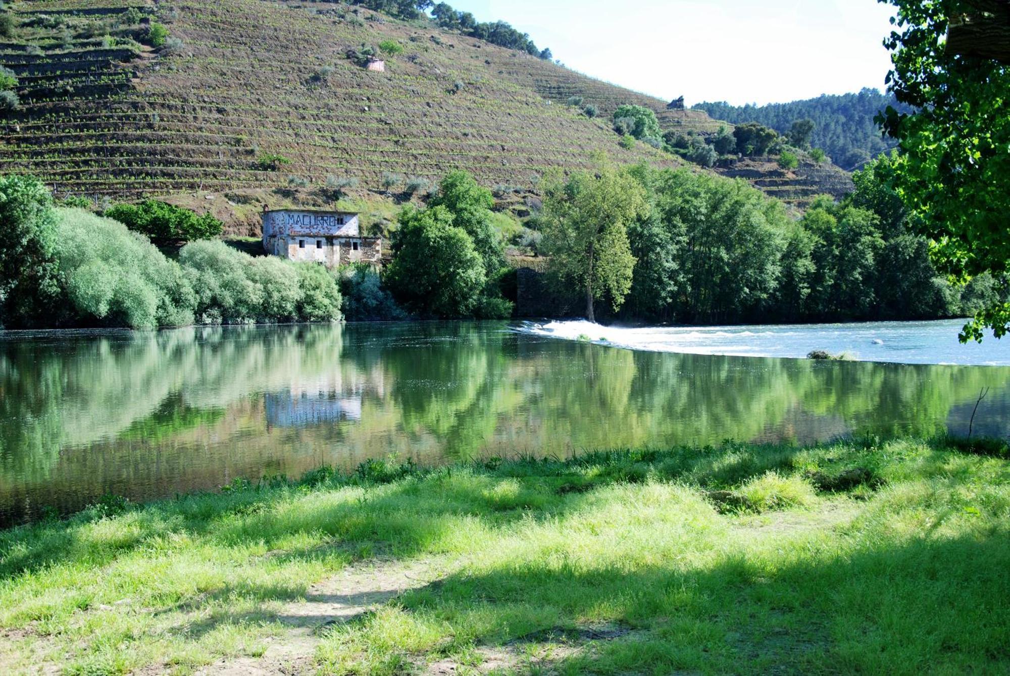 فيلا Casa Oliveiras Do Douro Sobreira المظهر الخارجي الصورة