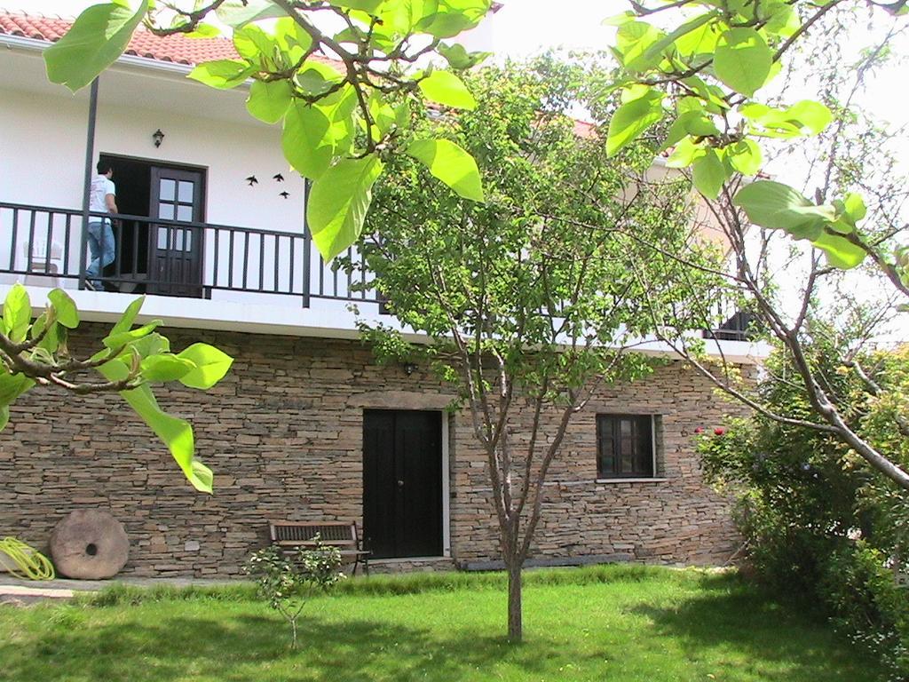 فيلا Casa Oliveiras Do Douro Sobreira المظهر الخارجي الصورة
