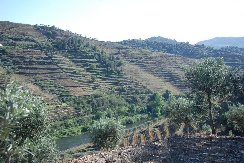 فيلا Casa Oliveiras Do Douro Sobreira المظهر الخارجي الصورة