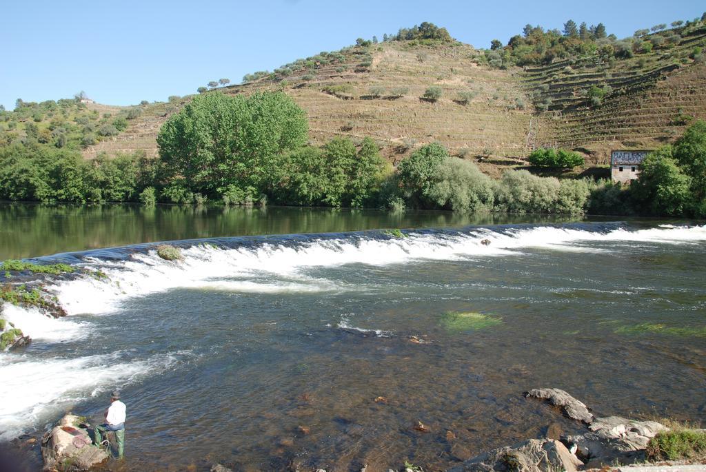 فيلا Casa Oliveiras Do Douro Sobreira المظهر الخارجي الصورة
