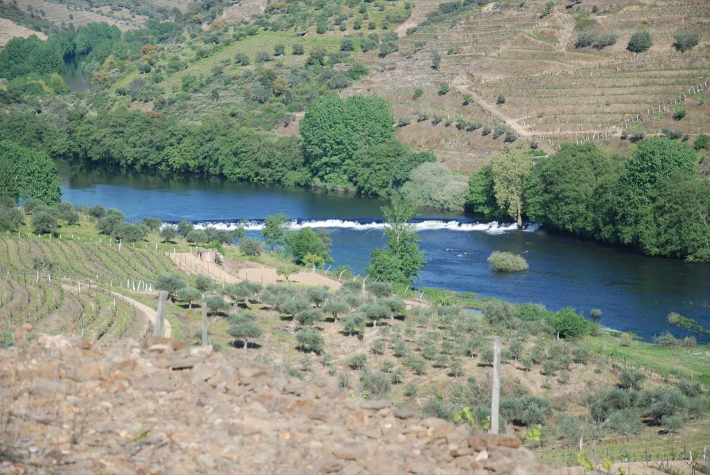 فيلا Casa Oliveiras Do Douro Sobreira المظهر الخارجي الصورة